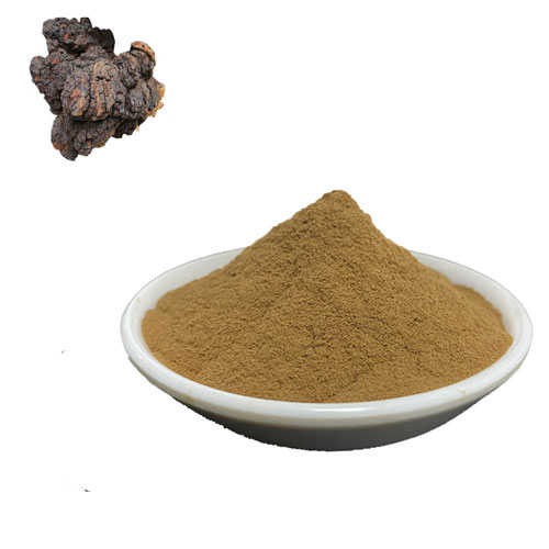 Chaga polysaccharides