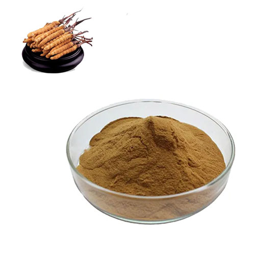 Cordyceps polysaccharides