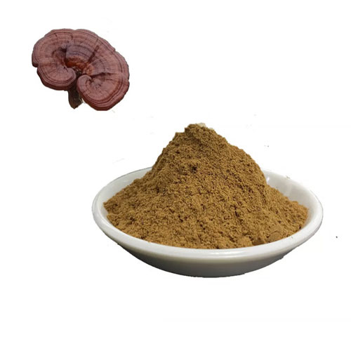 Ganoderma lucidum polysaccharides