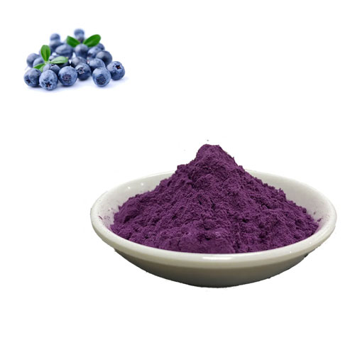 Bilberry Extract