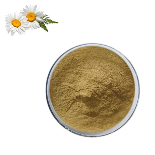 Chamomile Extract