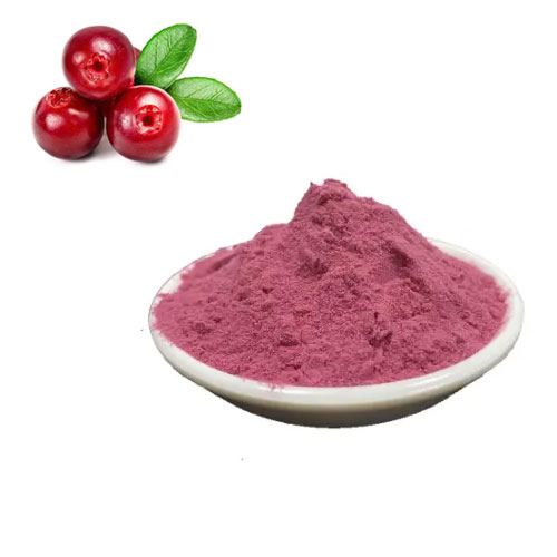 Cranberry Extract