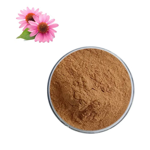 Echinacea Extract