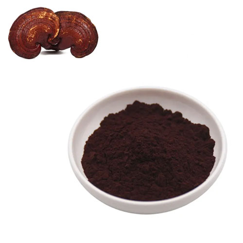 Ganoderma lucidum spore powder