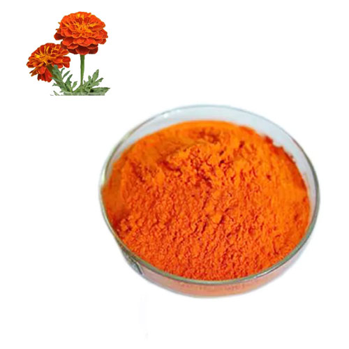 Marigold Extract