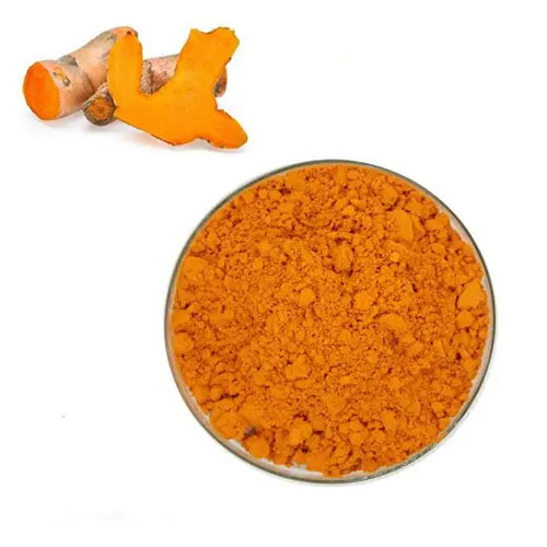 Turmeric Extract